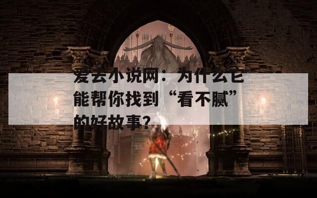 爱去小说网：为什么它能帮你找到“看不腻”的好故事？