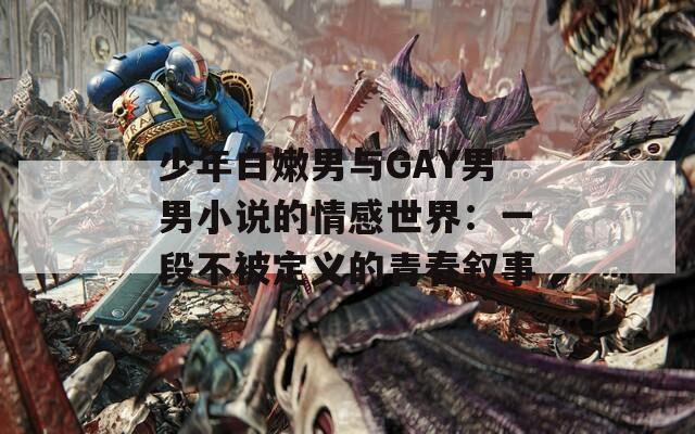 少年白嫩男与GAY男男小说的情感世界：一段不被定义的青春叙事