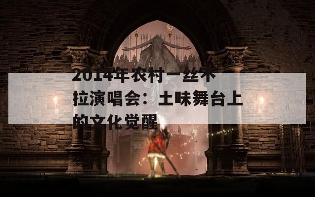 2014年农村一丝不拉演唱会：土味舞台上的文化觉醒