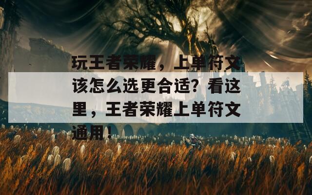 玩王者荣耀，上单符文该怎么选更合适？看这里，王者荣耀上单符文通用！