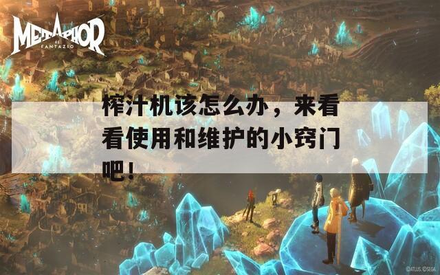榨汁机该怎么办，来看看使用和维护的小窍门吧！