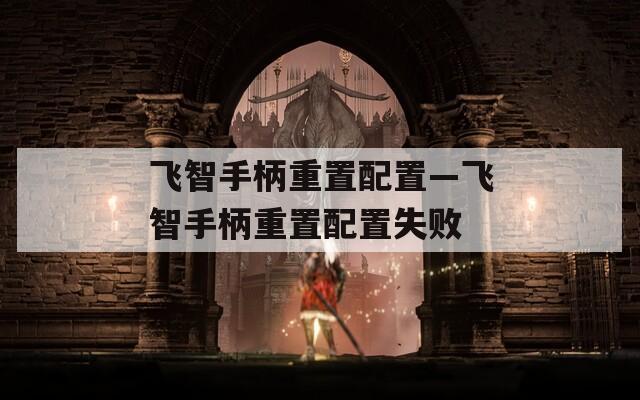 飞智手柄重置配置—飞智手柄重置配置失败