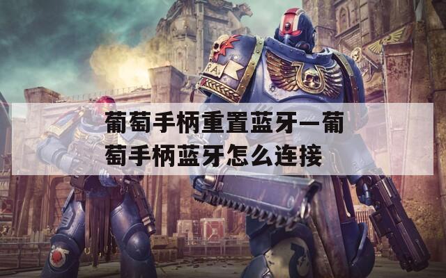 葡萄手柄重置蓝牙—葡萄手柄蓝牙怎么连接