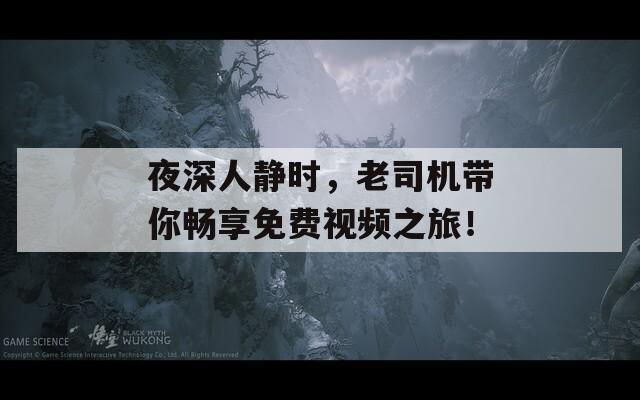 夜深人静时，老司机带你畅享免费视频之旅！