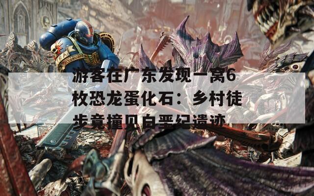 游客在广东发现一窝6枚恐龙蛋化石：乡村徒步竟撞见白垩纪遗迹