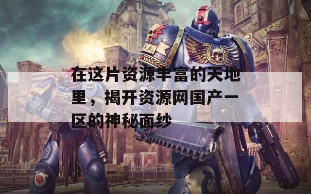 在这片资源丰富的天地里，揭开资源网国产一区的神秘面纱