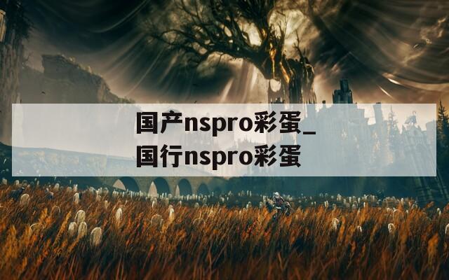 国产nspro彩蛋_国行nspro彩蛋