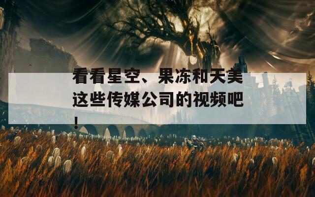 看看星空、果冻和天美这些传媒公司的视频吧！