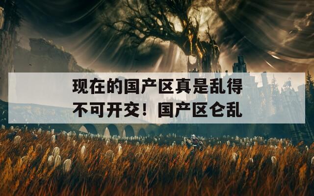 现在的国产区真是乱得不可开交！国产区仑乱