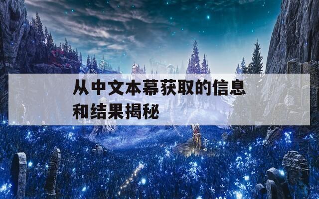 从中文本幕获取的信息和结果揭秘