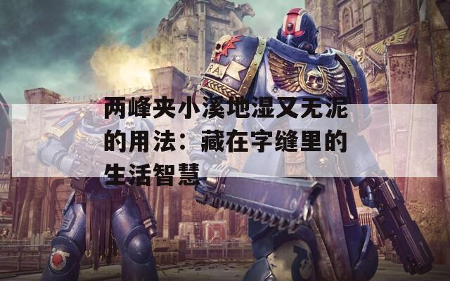 两峰夹小溪地湿又无泥的用法：藏在字缝里的生活智慧