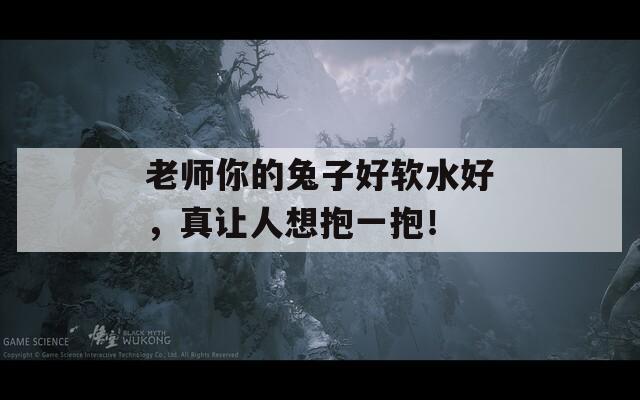 老师你的兔子好软水好，真让人想抱一抱！