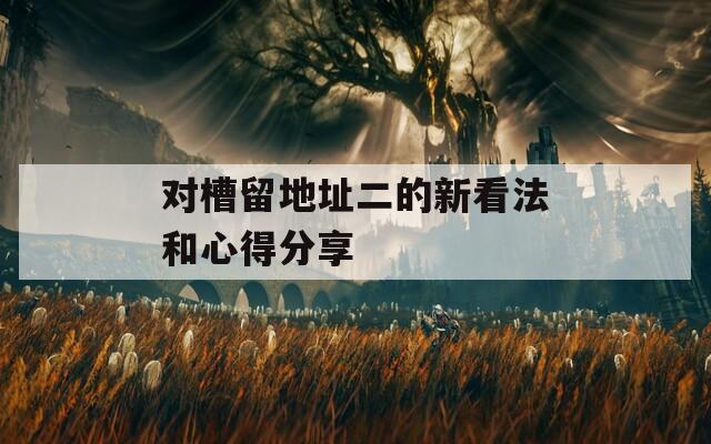 对槽留地址二的新看法和心得分享