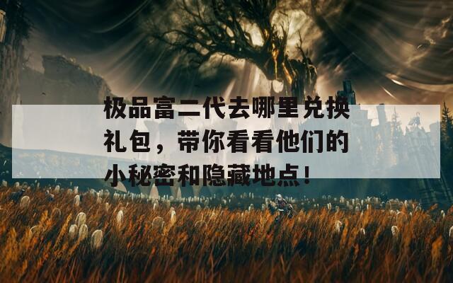 极品富二代去哪里兑换礼包，带你看看他们的小秘密和隐藏地点！