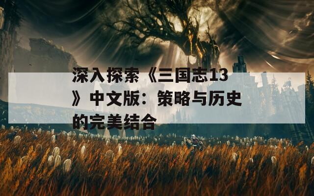 深入探索《三国志13》中文版：策略与历史的完美结合