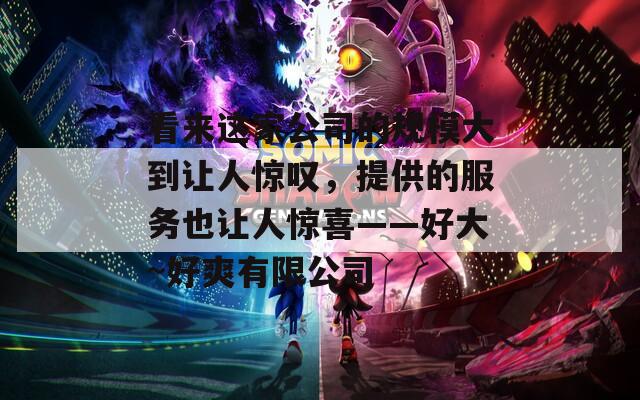 看来这家公司的规模大到让人惊叹，提供的服务也让人惊喜——好大~好爽有限公司