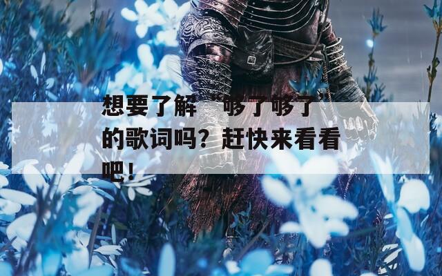 想要了解“够了够了”的歌词吗？赶快来看看吧！