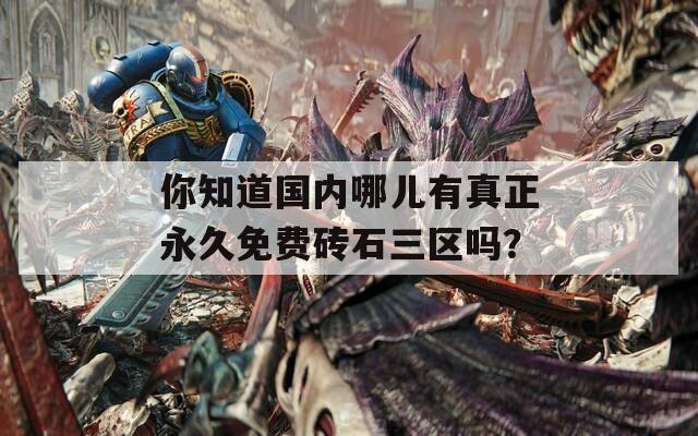 你知道国内哪儿有真正永久免费砖石三区吗？