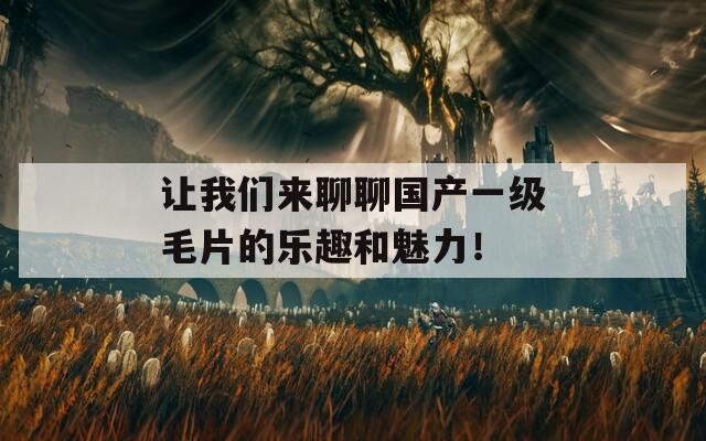 让我们来聊聊国产一级毛片的乐趣和魅力！