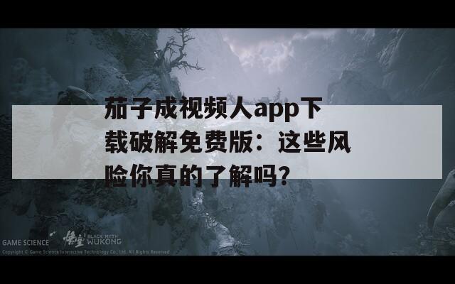 茄子成视频人app下载破解免费版：这些风险你真的了解吗？