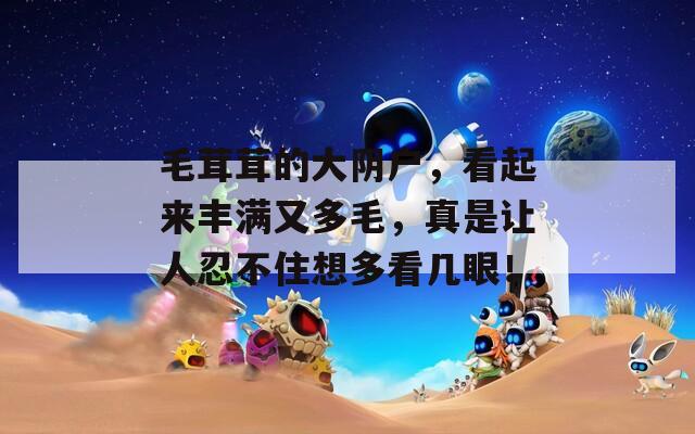 毛茸茸的大阴户，看起来丰满又多毛，真是让人忍不住想多看几眼！