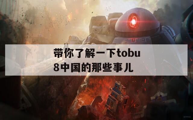 带你了解一下tobu8中国的那些事儿