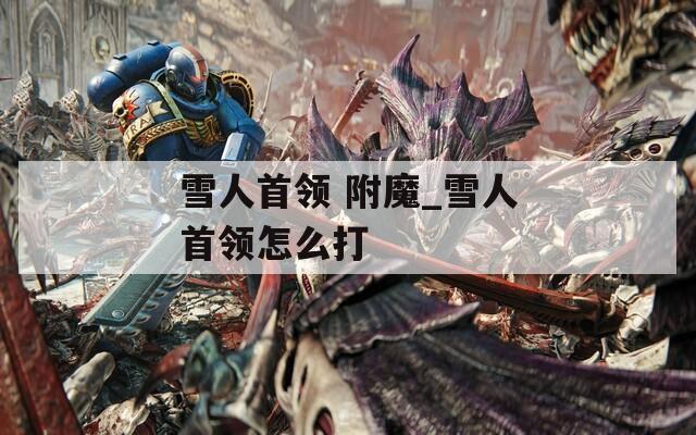 雪人首领 附魔_雪人首领怎么打
