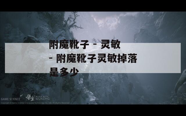 附魔靴子 - 灵敏 - 附魔靴子灵敏掉落是多少