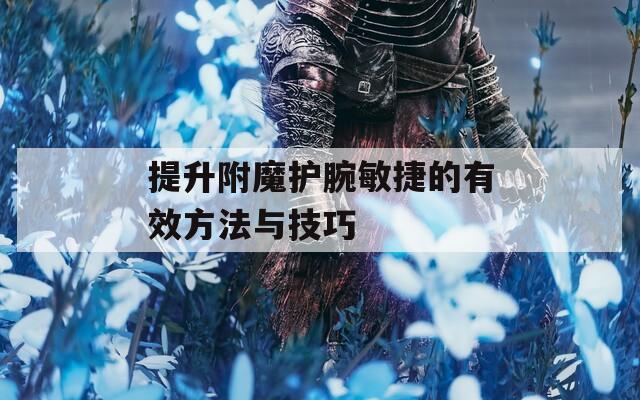 提升附魔护腕敏捷的有效方法与技巧