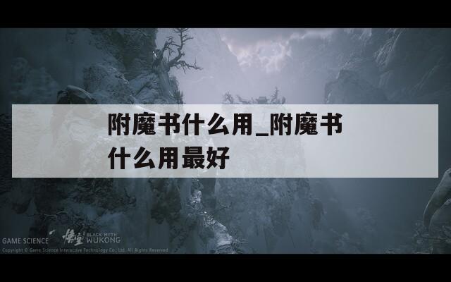 附魔书什么用_附魔书什么用最好
