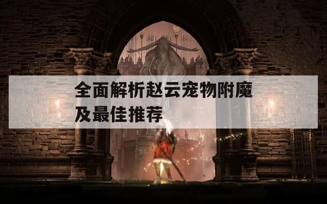 全面解析赵云宠物附魔及最佳推荐