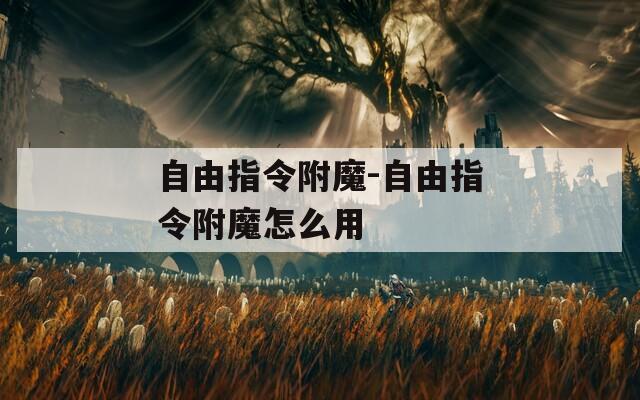 自由指令附魔-自由指令附魔怎么用