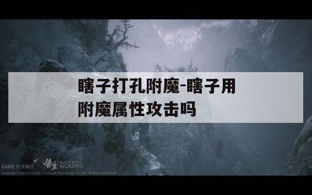 瞎子打孔附魔-瞎子用附魔属性攻击吗