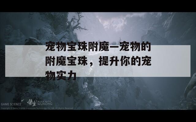 宠物宝珠附魔—宠物的附魔宝珠，提升你的宠物实力