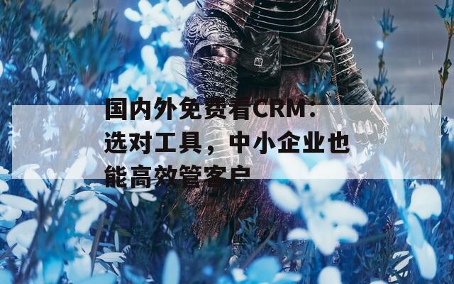 国内外免费看CRM：选对工具，中小企业也能高效管客户