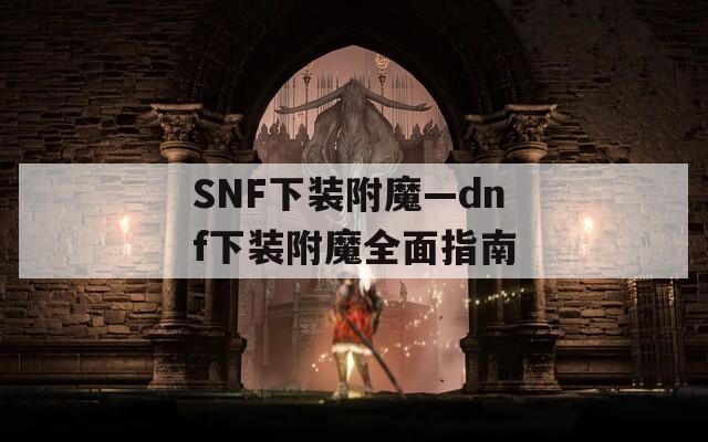SNF下装附魔—dnf下装附魔全面指南