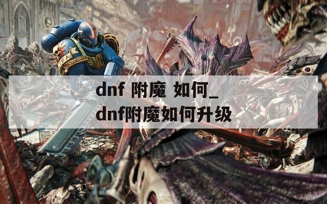 dnf 附魔 如何_dnf附魔如何升级