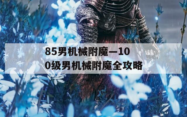 85男机械附魔—100级男机械附魔全攻略