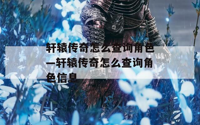 轩辕传奇怎么查询角色—轩辕传奇怎么查询角色信息