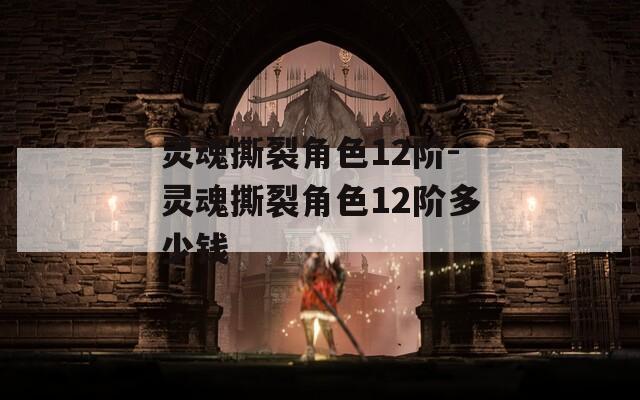 灵魂撕裂角色12阶-灵魂撕裂角色12阶多少钱