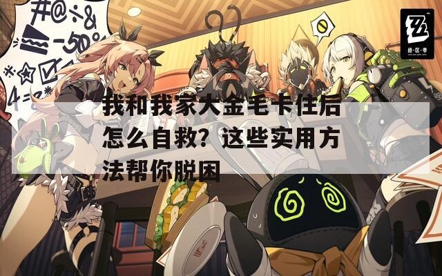 我和我家大金毛卡住后怎么自救？这些实用方法帮你脱困