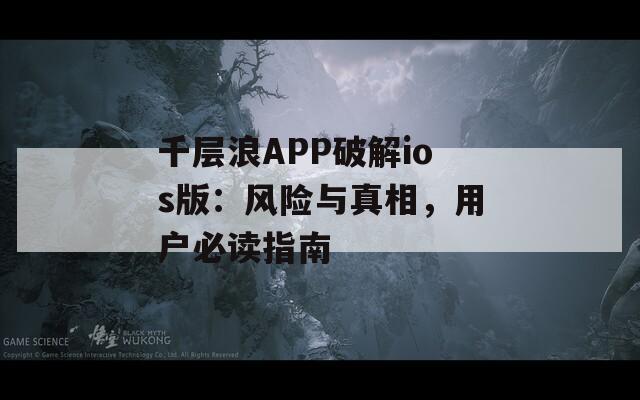 千层浪APP破解ios版：风险与真相，用户必读指南