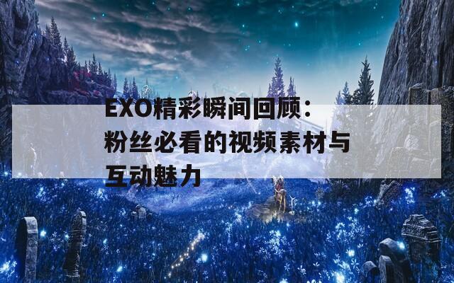 EXO精彩瞬间回顾：粉丝必看的视频素材与互动魅力