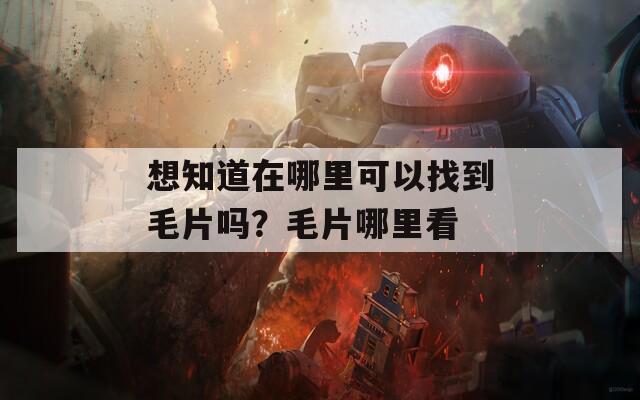 想知道在哪里可以找到毛片吗？毛片哪里看