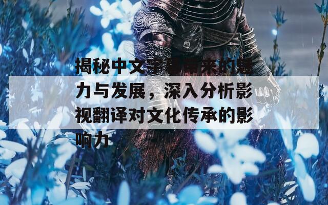 揭秘中文字幕带来的魅力与发展，深入分析影视翻译对文化传承的影响力