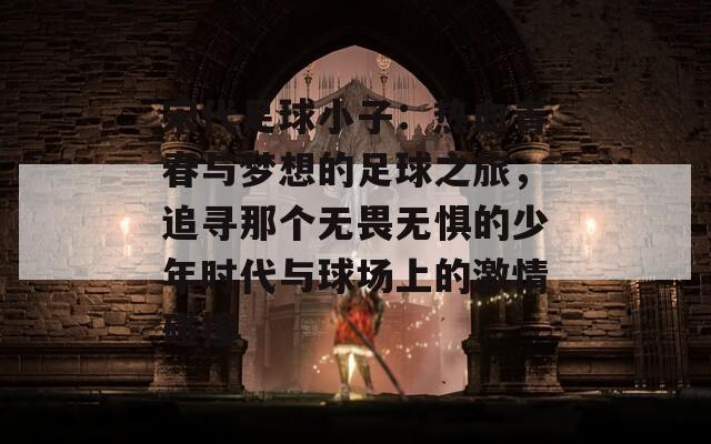 宋代足球小子：热血青春与梦想的足球之旅，追寻那个无畏无惧的少年时代与球场上的激情碰撞