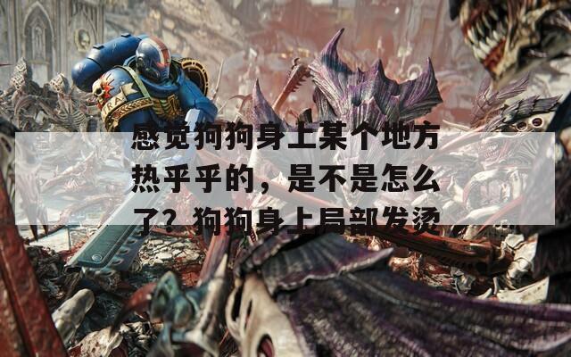 感觉狗狗身上某个地方热乎乎的，是不是怎么了？狗狗身上局部发烫