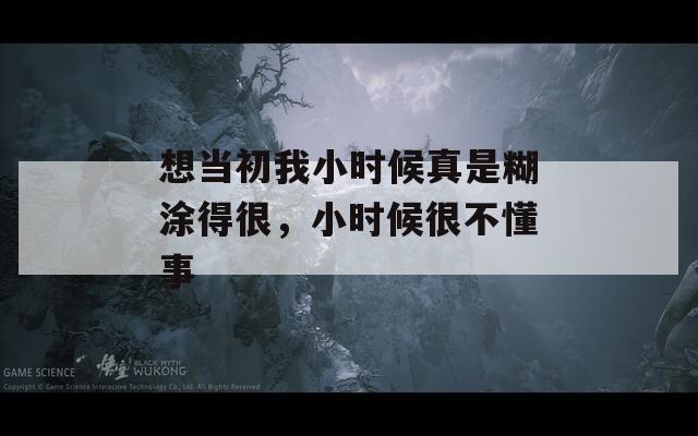 想当初我小时候真是糊涂得很，小时候很不懂事