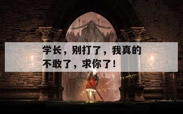学长，别打了，我真的不敢了，求你了！