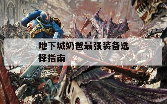地下城奶爸最强装备选择指南